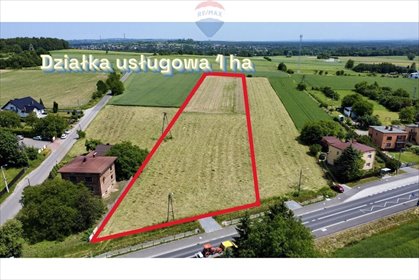 działka na sprzedaż 10000m2 działka Chełm Śląski