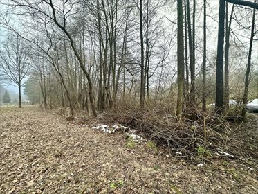 działka na sprzedaż 889m2 działka Zofiówka, Przylesie