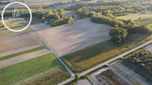 Działki rolno-budowlane w Zastawie-Kolonii zapraszam działka Zastawie-Kolonia