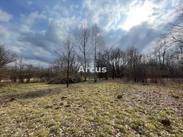 Zapraszam do zakupu działki 3982 m² w Tarnowie Rzędzin działka Tarnów, Rzędzin, Wolańska