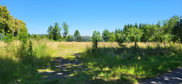 działka na sprzedaż 4254m2 działka Grabiszyce Górne