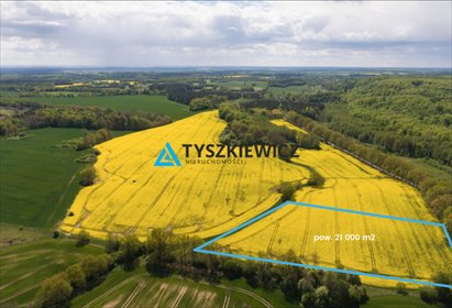 działka na sprzedaż 21000m2 działka Warcz