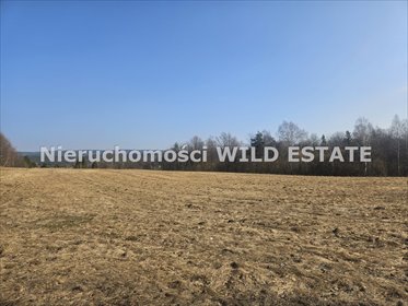 działka na sprzedaż 11163m2 działka Olszanica, Orelec