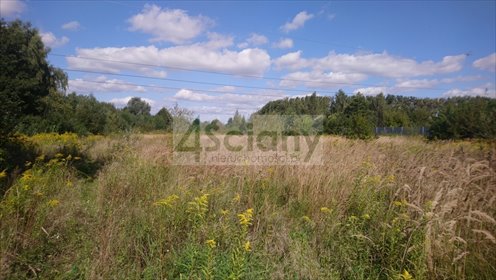 Działka inwestycyjno-budowlana 11 854 m² z warunkami na obiekt sportowy - polecam! działka Brwinów