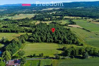 działka na sprzedaż 3000m2 działka Grudza