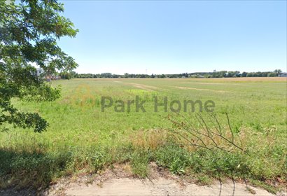 Sprzedam działkę inwestycyjną 5585 m² w Koninku działka Koninko