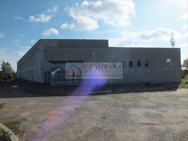 Lokal użytkowy na sprzedaż Radom, Idalin, Juliusza Słowackiego 1 000m2 Foto 7