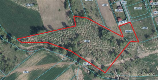 działka na sprzedaż 9232m2 działka Kędzierzyn-Koźle