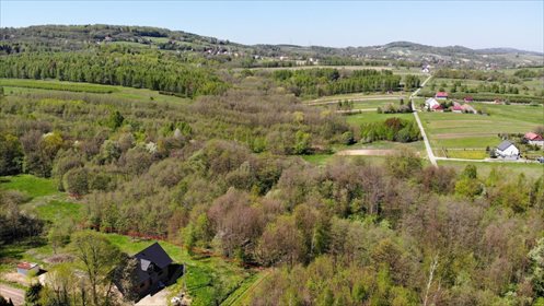 Działka siedliskowa na sprzedaż Grabno 11 300m2 Foto 1