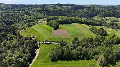 działka na sprzedaż 4000m2 działka Podole-Górowa