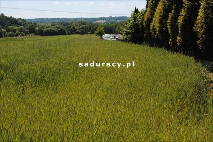 Działka budowlana na sprzedaż Wielkie Drogi 8 900m2 Foto 6