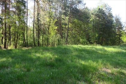 Działka rolna na sprzedaż Słupica 8 100m2 Foto 4