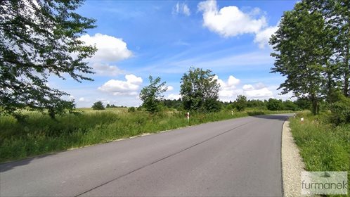 Działka rolna na sprzedaż Stanisławów 16 962m2 Foto 3