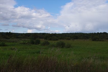 działka na sprzedaż 13100m2 działka Dąbrówka, Łąkowa