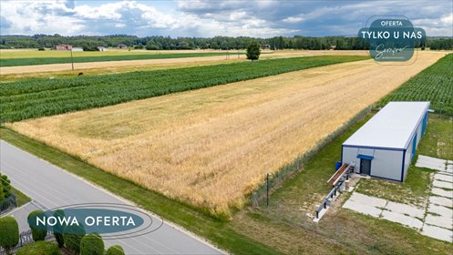 Działka 3000 m² z WZ, dostęp do asfaltu, Dubie działka Dubie