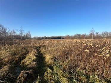 działka na sprzedaż 1190m2 działka Żurawiniec, Kasztanowa