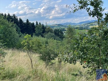 działka na sprzedaż 4958m2 działka Przyszowa