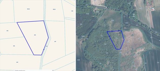 działka na sprzedaż 11800m2 działka Czarne Dolne