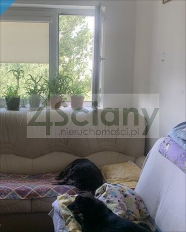 mieszkanie na sprzedaż 20m2 mieszkanie Warszawa, Żoliborz, Władysława Broniewskiego