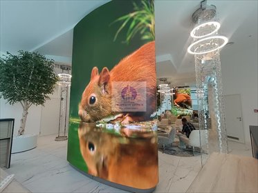 lokal użytkowy na wynajem 33m2 lokal użytkowy Warszawa, Śródmieście, Solec