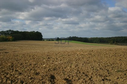 Lokal użytkowy na sprzedaż Wrocław, Stare Miasto, Stare Miasto 33 748m2 Foto 6