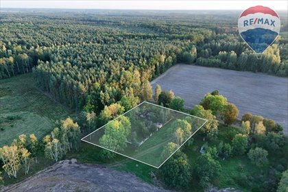 Do sprzedania działka 3700 m² w Tomaszewie z lasem i ciszą działka Tomaszew