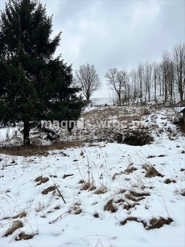 działka na sprzedaż 1860m2 działka Grzmiąca, Wiejska