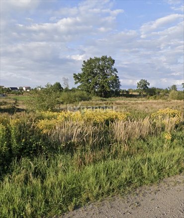 działka na sprzedaż 1491m2 działka Częstochowa, Brzeziny Małe, Rzeczna