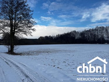 działka na sprzedaż 9300m2 działka Kamień Krajeński