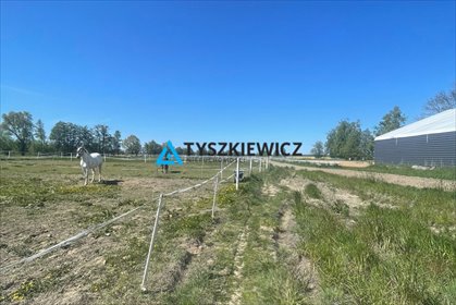 lokal użytkowy na sprzedaż 74496m2 lokal użytkowy Przemysław