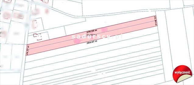 Działka budowlana na sprzedaż Ściejowice 6 000m2 Foto 5