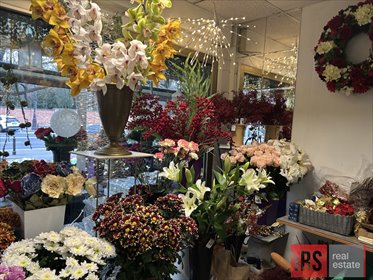 lokal użytkowy na sprzedaż 87m2 lokal użytkowy Warszawa, Żoliborz, Powązkowska