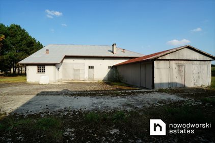 Magazyn na sprzedaż Niegowić 492m2 Foto 5