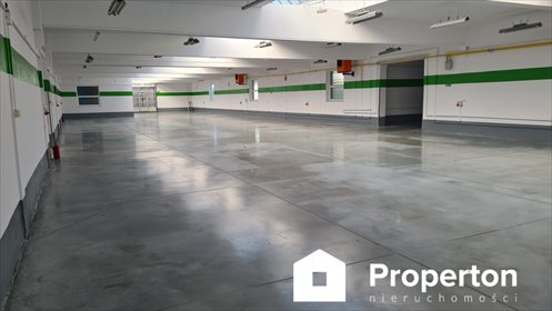 Magazyn na wynajem Świebodzin, Poznańska 2 000m2 Foto 3