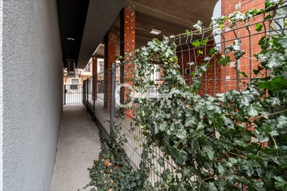 Lokal użytkowy na wynajem Warszawa, Praga-Północ, Brzeska 67m2 Foto 7
