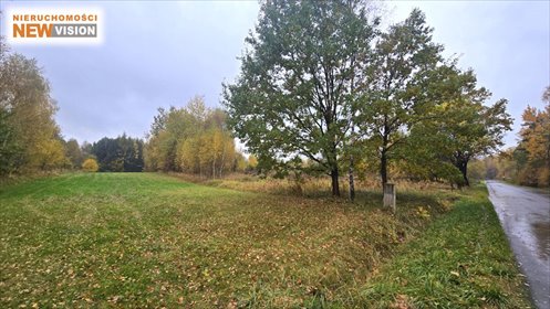 działka na sprzedaż 4440m2 działka Dąbrowa Górnicza, Nowa Kuźniczka, Kuźniczka Nowa