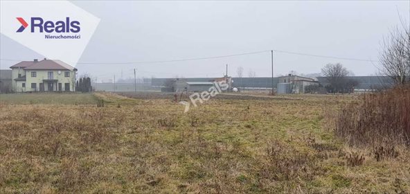Działka budowlana na sprzedaż Marków-Towarzystwo 7 000m2 Foto 4