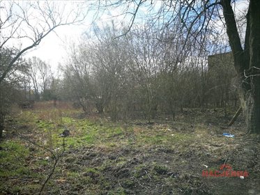 Działka usługowa 700 m² w Wieńkowie – możliwość zabudowy działka Wieńkowo