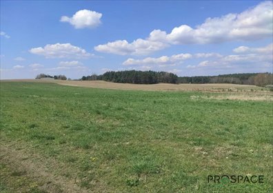 Na sprzedaż działka 1441 m² w Leśniowie Wielkim działka Leśniów Wielki