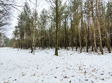 działka na sprzedaż 1459m2 działka Sokolniki-Las, Graniczna