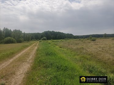 działka na sprzedaż 18000m2 działka Istok