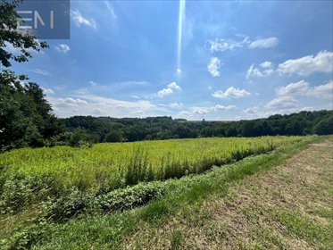 działka na sprzedaż Nowa Wieś 4400 m2