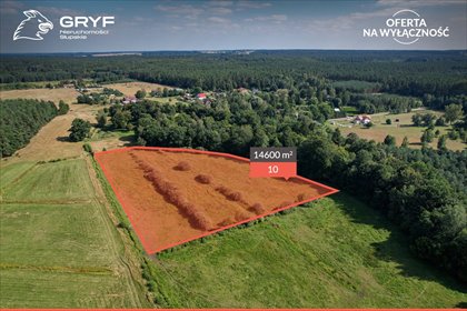 Działka 14 600 m² w Lękwicy - polecam działka Lękwica, Lękwica