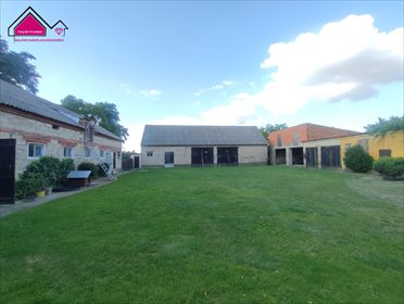 Zapraszam do domu 70 m² z potencjałem, działka 3000 m² w Grzybkowie dom Grzybków