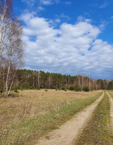 Działka rekreacyjna na sprzedaż Tarnowo 3 198m2 Foto 2