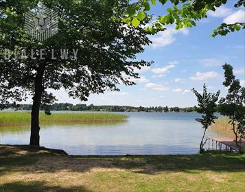 działka na sprzedaż 11200m2 działka Gorzewo