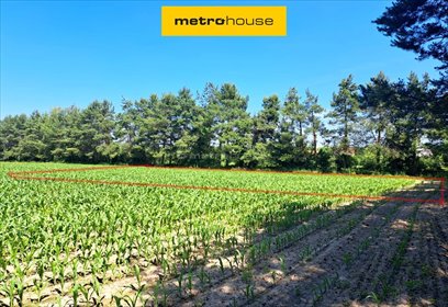 działka na sprzedaż 2000m2 działka Mściów