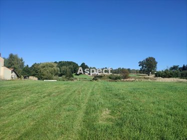 działka na sprzedaż 8580m2 działka Żory, Rój