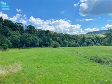 działka na sprzedaż 1162m2 działka Polany