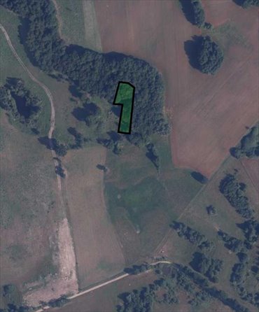 Polecam działkę 1500 m² z warunkami zabudowy i lasem działka Mieszałki, Mieszałki